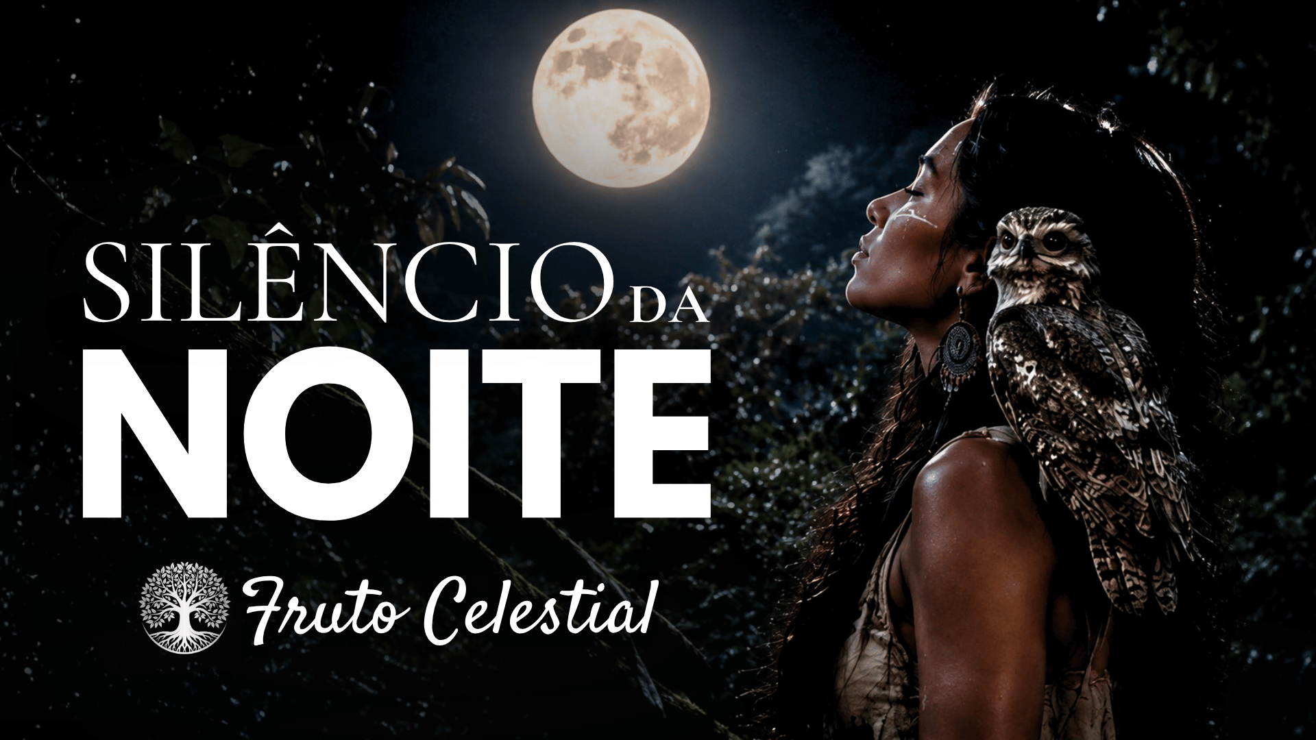 Capa da música Silêncio da Noite